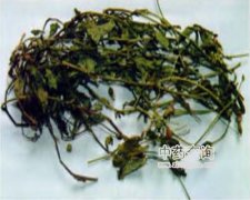 һ�c(di��n)�t