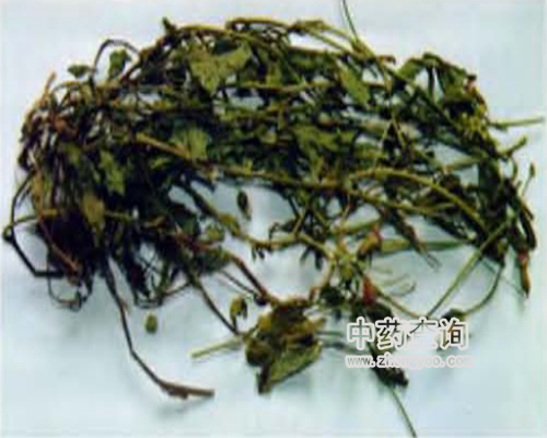 һ�c(di��n)�t