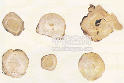 ������ˎ���Ƭ