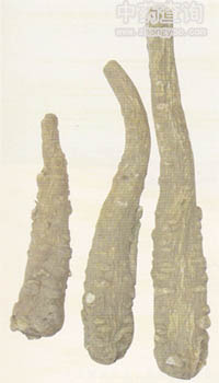 ������ˎ�ģ�����Ʒ��