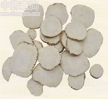 ������ˎ���Ƭ������Ʒ��