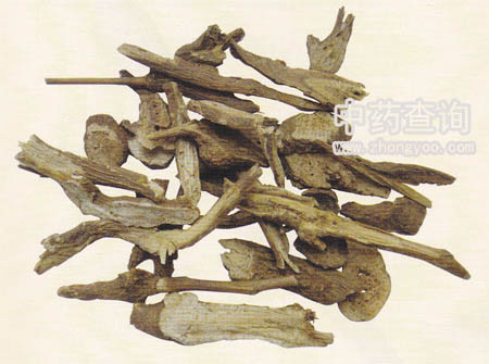 ���gˎ���Ƭ��ˎ���Ј���ͨ����Ʒ��