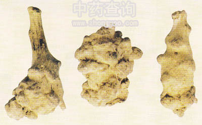 �����ߣ����g����Ʒ��