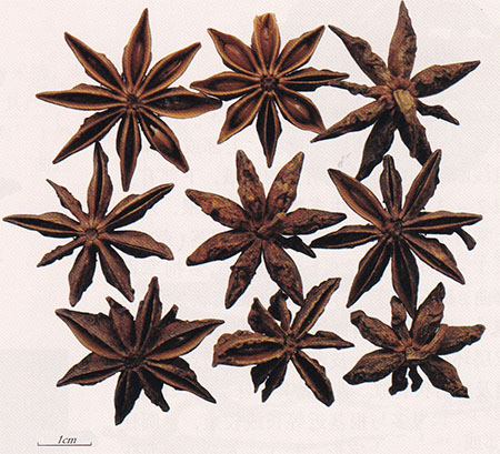 �˽�����ˎ�ĈDƬ