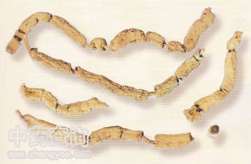 �����ˎ�ĈD