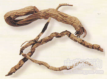 �����(��������Ʒ)