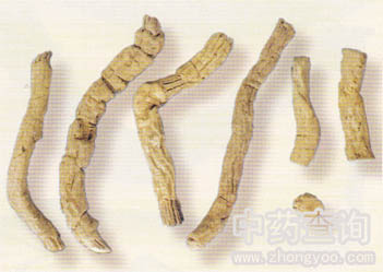 ������Ƭ(��������Ʒ)