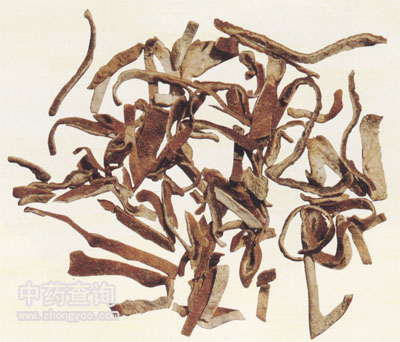 陳皮藥材飲片(切成絲狀的飲片)