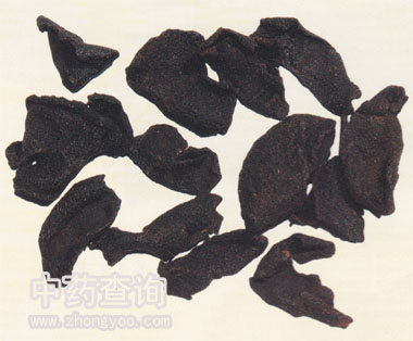 廣陳皮藥材飲片(切成片狀 的飲片,炮制品)