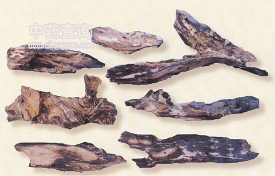 �M(j��n)�ڳ���ˎ��