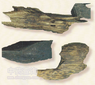 �M(j��n)�ڳ���ˎ��