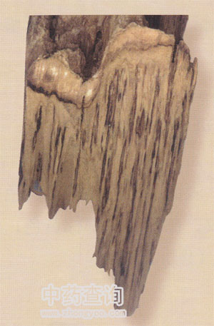 ���a(ch��n)����(��ľ��)