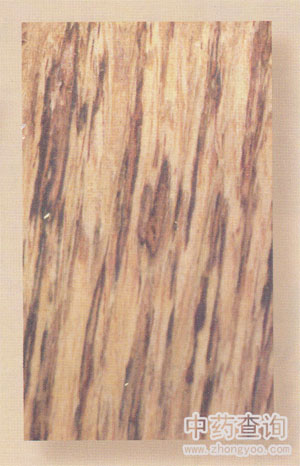 ���a(ch��n)����(��ľ��)ˎ�ķŴ�D