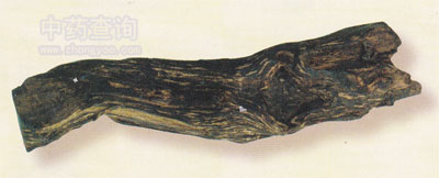 ľ��Ϳɫ����(�������Ʒ)