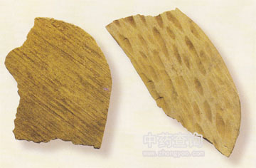 ��ľ�㲻�Ϙ�֬��ľ�ļӹ�����(��Ʒ)