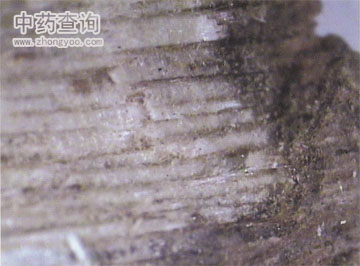 ��ľ�㲻����֬��ľ�ķŴ�D(�������|(zh��)Ʒ)