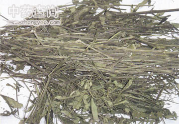 ����ɏˎ�ĈDƬ