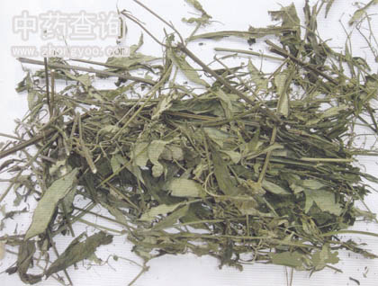 ����ɏˎ���Ƭ�DƬ