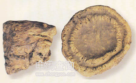 ˎ�ô��Sˎ��(�K��ˎ�ĈD)