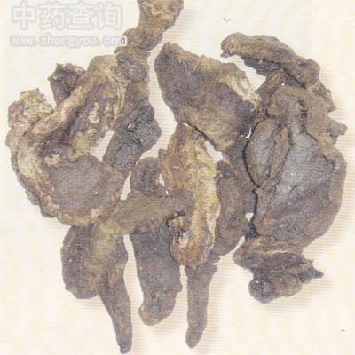 ���Sˎ���Ƭ