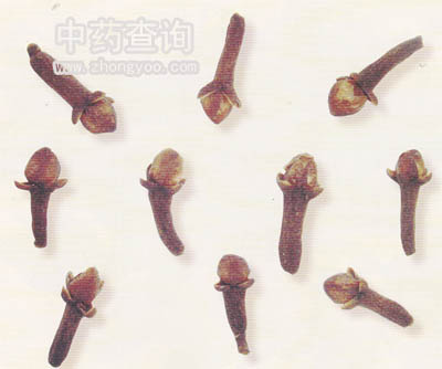 ����ˎ���Ƭ