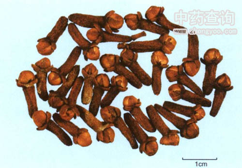 ����ˎ��