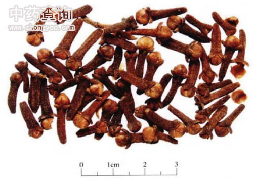 ����ˎ�ĳߴ猦��