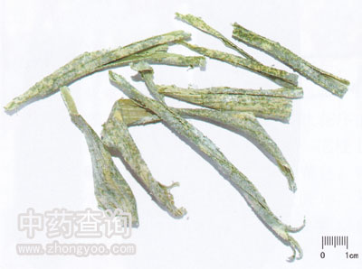 ���r�Ķ���Ƥˎ��