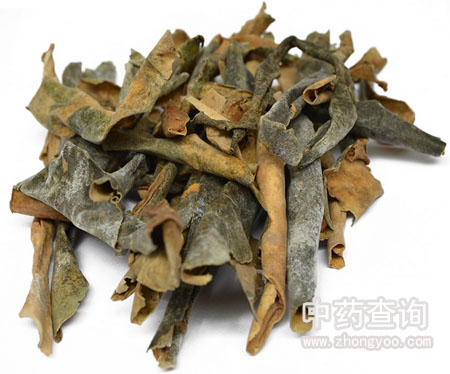 �Ј�(ch��ng)��ͨ�Ķ���Ƥˎ��