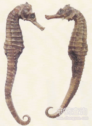 ���y���Rˎ��