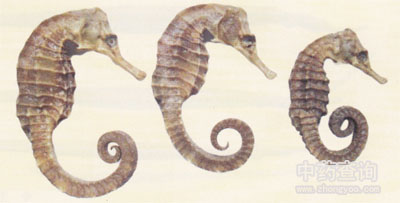 С���R(����)ˎ��