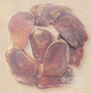 �t���Ƭ�DƬ