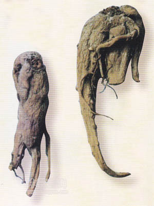 ɽ�n��ð��t��ˎ�ĈDƬ