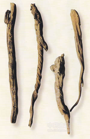 ���mð��t��ˎ��