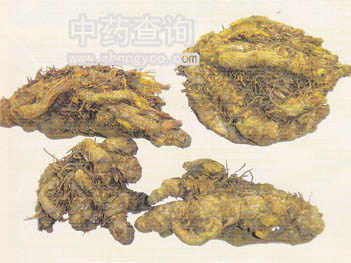 黃連藥材(去連)