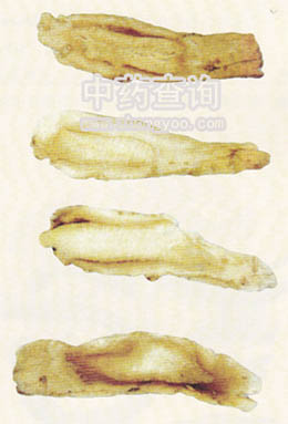 �۹�ˎ���Ƭ��б��Ƭ��