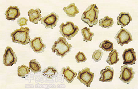 �۹�ˎ���Ƭ���M��Ƭ��