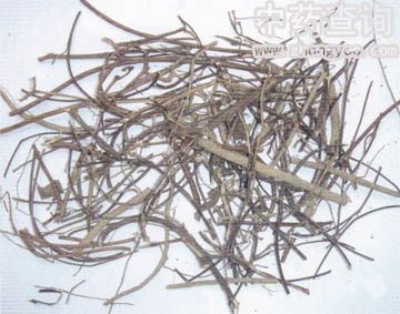 �u�ǲ�ˎ���Ƭ