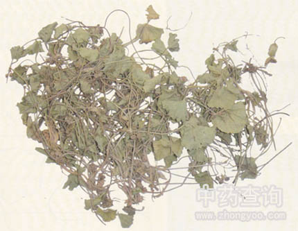 �eѩ��ˎ��