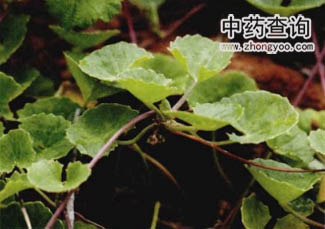 �eѩ��Դֲ���~��