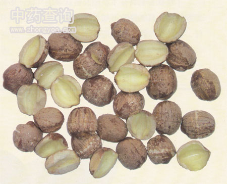 ɏ��ˎ���Ƭ