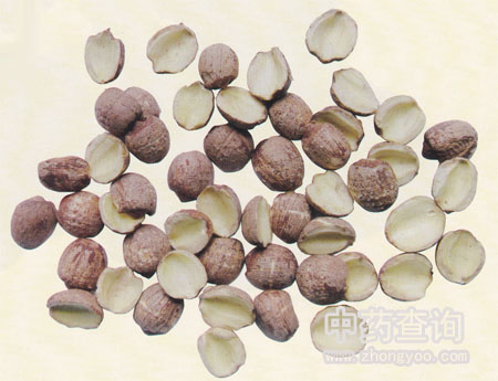 ɏ��ˎ���Ƭ