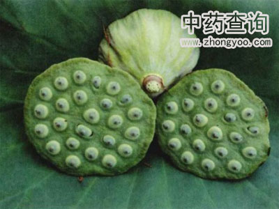 ɏ�ӵ�Դֲ��DƬ