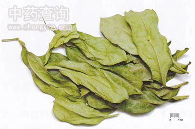 ��Ú�~ˎ��