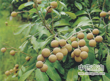 ������Դֲ�����ۘ�(sh��)