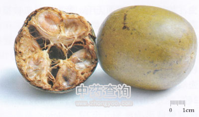 �_�h��ˎ�İ�����D