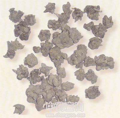 貓爪草藥材(栽培品)