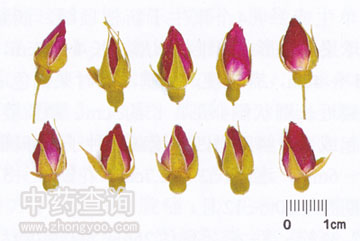 õ�廨ˎ�ĸ��ΑB(t��i)