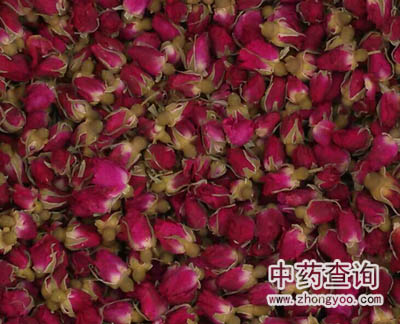 �Ј�(ch��ng)��ͨ��õ�廨ˎ��