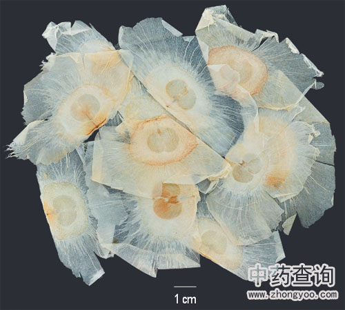 ľ����ˎ�ĸ���DƬ